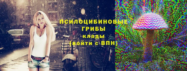 PSILOCYBIN Горно-Алтайск